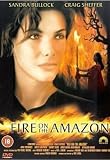 Fire on the Amazon
