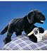 labrador8  - Plush Black Labrador Puppy Puppet 20