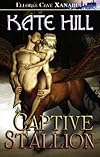 Captive Stallion