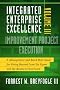 Improvement Project Execution: A Management and Black Belt Guide for Going Beyond Lean Six Sigma and the Balanced Scorecard: 3 (Integrated Enterprise Excellence)