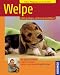 Image of Welpe: Halten &amp; Pflegen, Verstehen &amp; Beschäftigen
