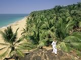 Beach and Coconut Palms, Kovalam, Kerala State, India, Asia Photographic Poster Print