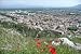 Cavaillon - 36"W x 24"H - Peel and Stick Wall Decal by Wallmonkeys