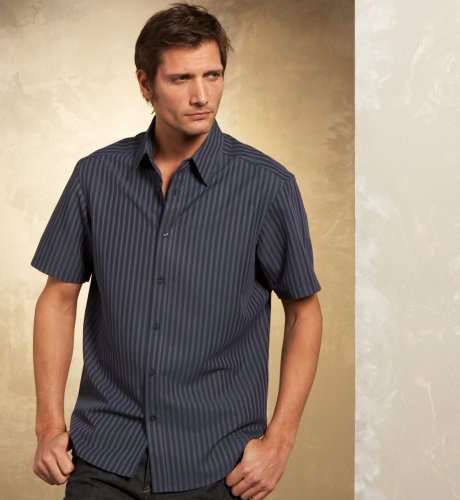 Big & Tall Autograph Short Sleeve Denim Stripe Shirt
