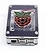 Zebra Black Ice Case with Raspberry Inlay WITH FAN~ for Raspberry Pi 3b+ 3, Pi 2 by C4Labs