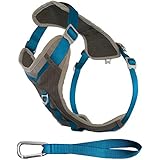 Kurgo Journey Dog Harness, Large, Blue - Lifetime Warranty