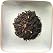 Chai Spice Decaf Black Tea