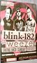 Blink 182 Poster - Concert 09 Reunion Enema of the State