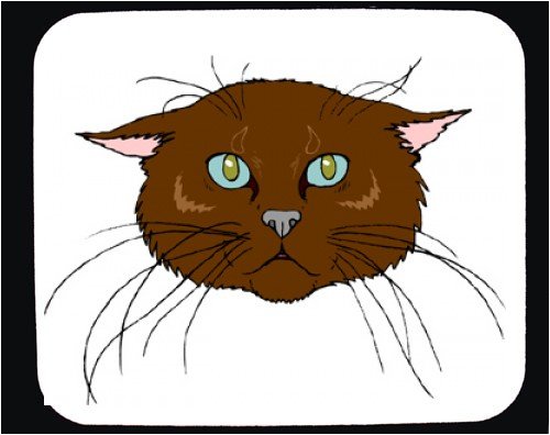 image link -  - B000T6AIKM