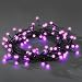 Konstsmide 3691-457 Micro LED Lichterkette (Globe Aufs�tze, 80 purpurfarbene Dioden, 24V Au�entrafo, 2.4W, schwarzes Kabel)