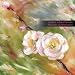 Abstractions con Download MP3 per nominativo: 51Pb4MJbvcL._SL75_
