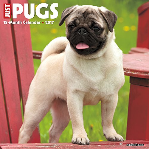 Just Pugs 2017 Wall Calendar