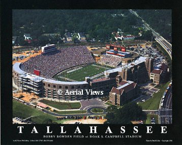 Florida State Seminoles - Doak S. Campbell Stadium - 22x28 Aerial Photograph
