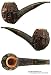 Ardor: Meteora Giant Rusticated Hawkbill