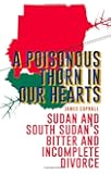 A Poisonous Thorn in Our Hearts: Sudan and South Sudan's Bitter and Incomplete Divorce