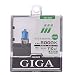 カーメイト GIGA ヘッドライトハロゲンバルブ プレミアム5000K H3C BD908