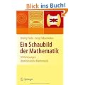 Ein Schaubild der Mathematik: 30 Vorlesungen �ber klassische Mathematik