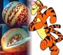 Rare Tigger Melon 10 Seeds - Heirloom - Delicious -Easy