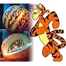 Rare Tigger Melon 10 Seeds - Heirloom - Delicious -Easy