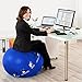 Active Balance Exercise Ball - Gym Grade Fitness Ball for Stability, Balance & Yoga - Comes with Bonus Resistance Bands and eBook Includes Pump & Accessories (Navy Blue/65 cm)