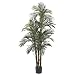 Nearly Natural 5Feet Robellini Palm Silk Tree