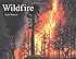 Wildfire