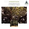 Natural Sound - Digitale H�rbilder - Waldesrauschen