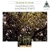 Whispering Forest-Whispering Forest