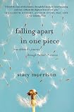 Falling Apart in One Piece: One Optimists Journey Through the Hell of Divorce