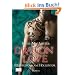 Dragon Love: Rendezvous am H�llentor