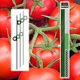 Merek global 80-50599, Taman Kit Stake - Stakes Tomat - 6 Stakes ditambah Aksesoris