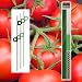 Garden Stake Kit - Tomato Stakes - 6 Stakes Plus Accessories