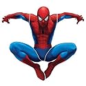 RoomMates RMK1078GSCS Amazing Spiderman Peel & Stick Giant Applique