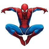 RoomMates RMK1078GSCS Amazing Spiderman Peel & Stick Giant Applique