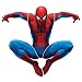 RoomMates RMK1078GSCS Amazing Spiderman Peel & Stick Giant Applique