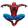 RoomMates RMK1078GSCS Amazing Spiderman Peel & Stick Giant Applique