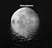 Total Submersion
