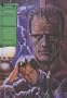Frankenstein (Saddleback's Illustrated Classics (Prebound))