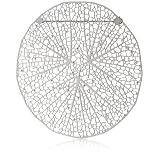 Nervous System Central Roots Stainless Steel B