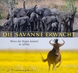 Produkt-Bild: Die Savanne erwacht: Wenn der Regen kommt in Afrika