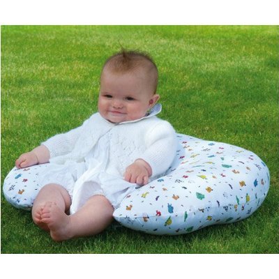 PHP Widgey Nursing Pillow Variation Parent