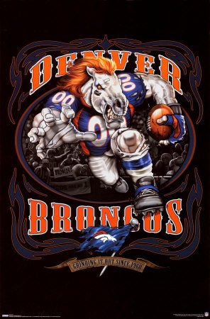 Trends Denver Broncos Running Back 22 x 34 Poster