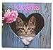 2015 Wall Calendar - 16 Month Kittens Design by 2015 Calendar