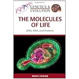 the molecules of life genetics and evolution