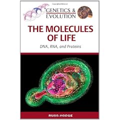 Molecules of Life: DNA, RNA, and Proteins
