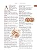 Books : The Deluxe Food Lover's Companion (Deluxe Edition)