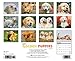 Just Golden Puppies 2015 Wall Calendar