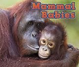 Mammal babies