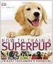 How to Train a Superpup: Unleash your puppy's potential