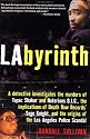 LAbyrinth: A Detective Investigates the Murders of Tupac Shakur and Notorious B.I.G., the Implication of Death Row Records' Suge Knight, and the Origins of the Los Angeles Police Scandal